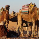 Desert ships